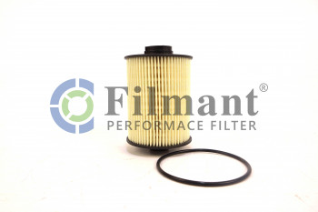 Фильтр топливный FS 19925