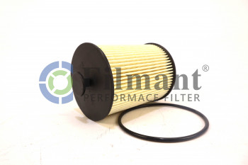 Фильтр топливный FS 19925